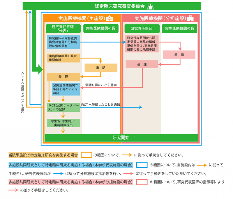 特定臨床研究_審査承認手続き