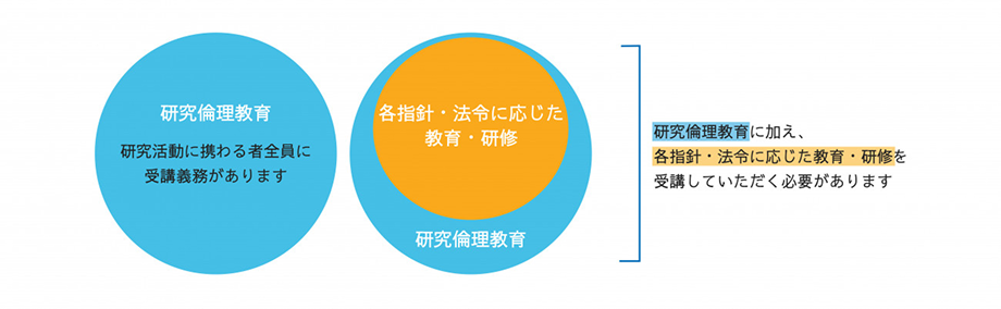新潟大学の研究倫理教育体制