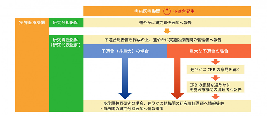 不適合発生時の報告フロー（例：自機関主幹の研究・自機関にて発生）
